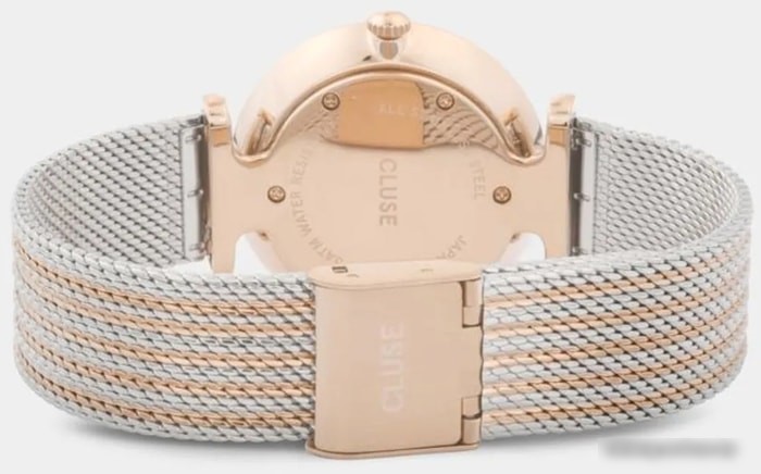 Наручные часы Cluse Triomphe CW0101208001