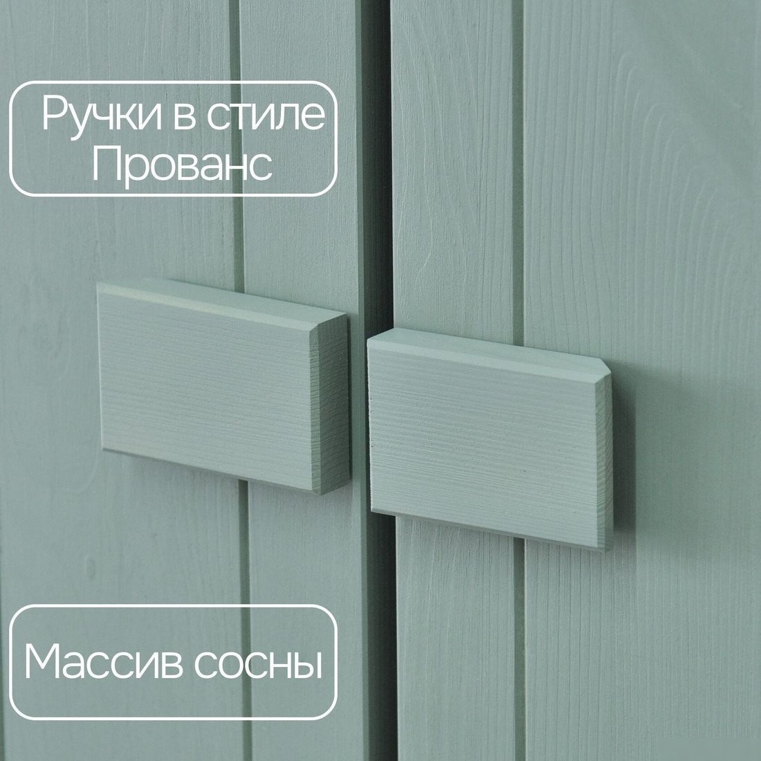 Шкаф распашной Диприз 2 дв Д.70049.1 (Carlos/pantone 5497)