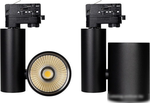 Трековый светильник Arlight LGD-SHOP-4TR-R100-40W Cool SP7500-Fish 026291