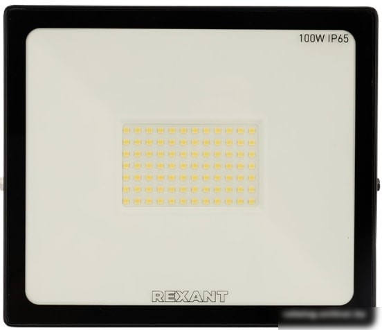 Уличный прожектор Rexant 605-005