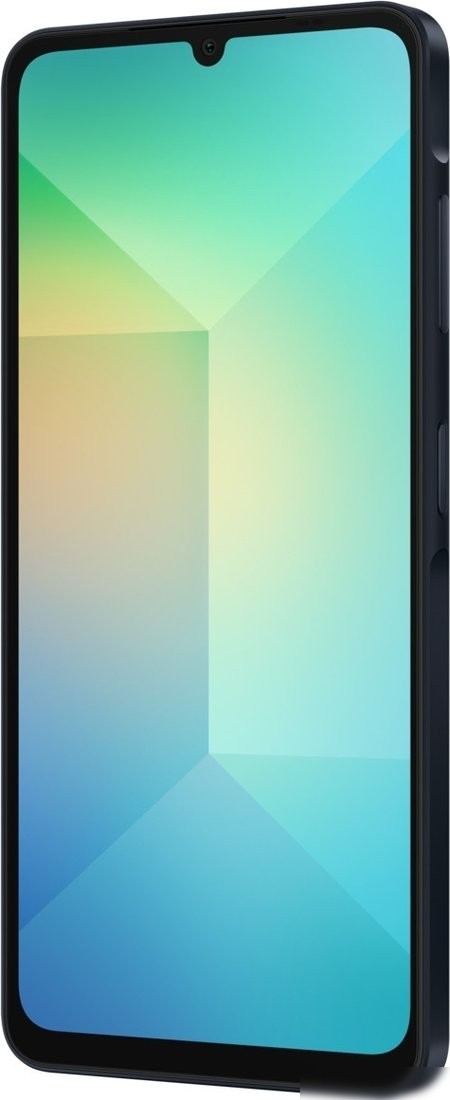 Телефон Samsung Galaxy A06 SM-A065F 4GB/64GB (черный)