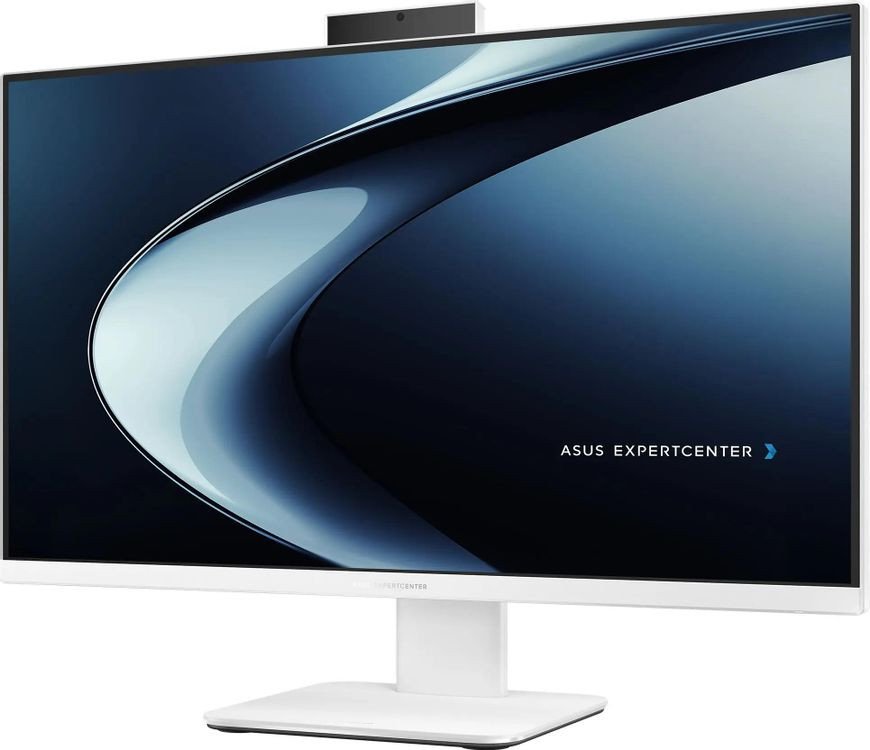 Моноблок ASUS ExpertCenter P600 AiO PM670KA-WPE0300