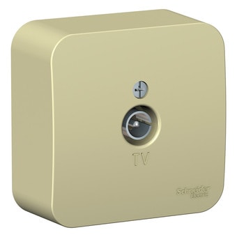 Розетка телевизионная Schneider Electric Blanca BLNTA000017