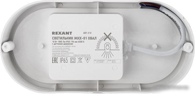 Уличный настенный светильник Rexant 607-210