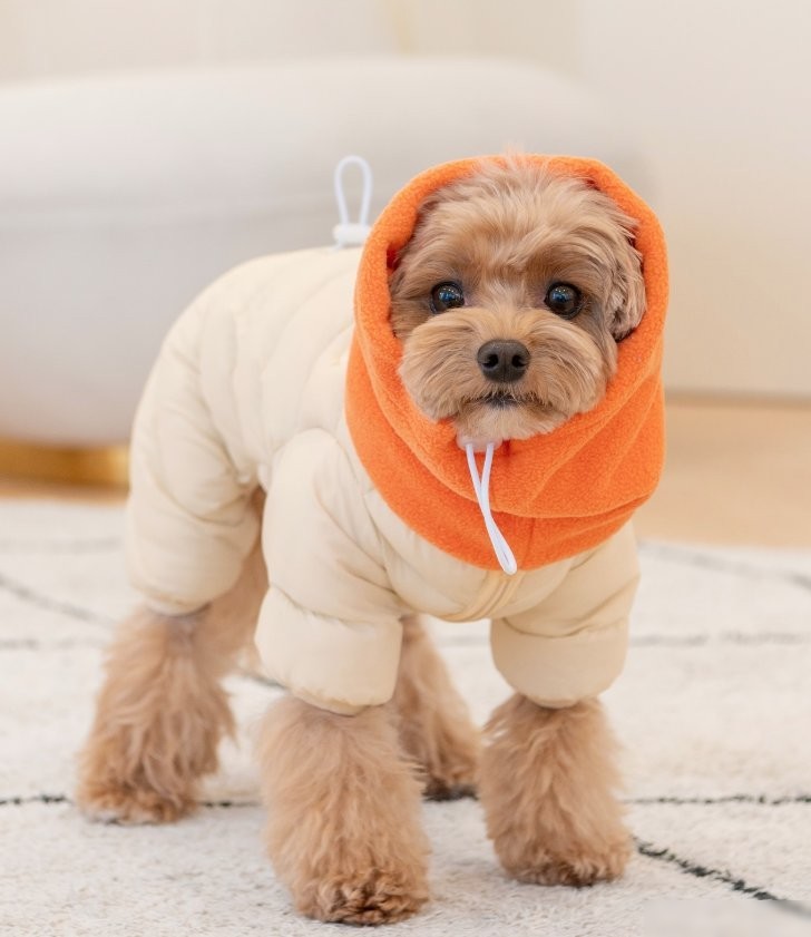 Комбинезон для животных Puppia Snood padding PAYD-JP2158-BE-L (бежевый)
