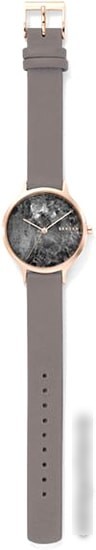 Наручные часы Skagen SKW2672