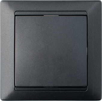 Выключатель Bylectrica С1 10-896 (графит)
