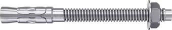 Анкерный болт Fischer FWA 10 x 65 45645 (50 шт)
