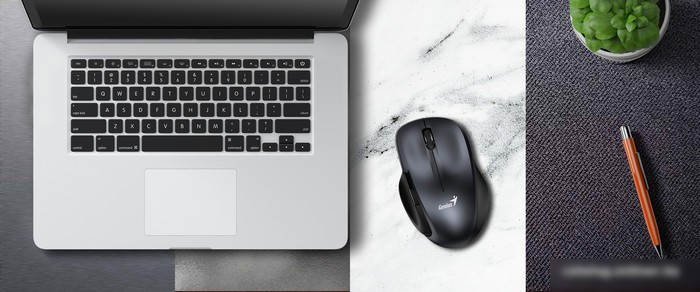 Мышь Genius Ergo 8200S (серый)