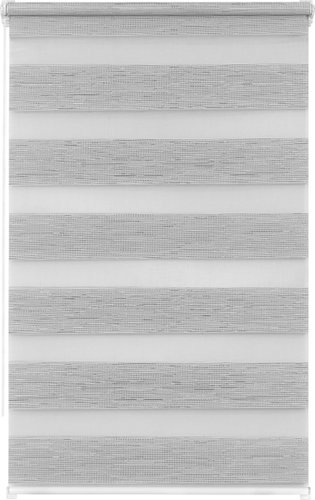 Рулонные шторы Lm Decor ДН LB 54-02 200х185 (серебристый)