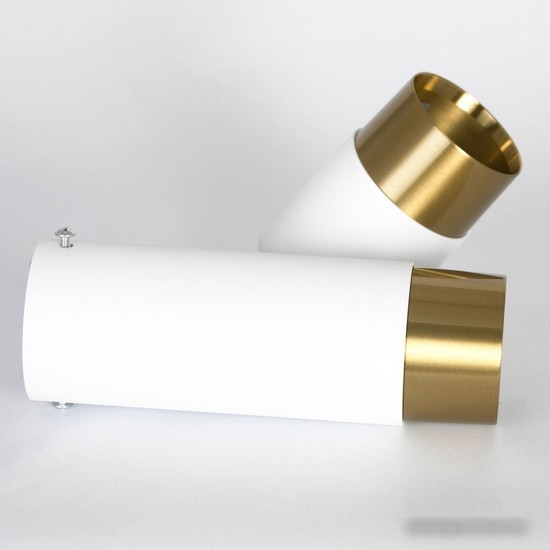 Точечный светильник Lussole Gilbert LSP-8829