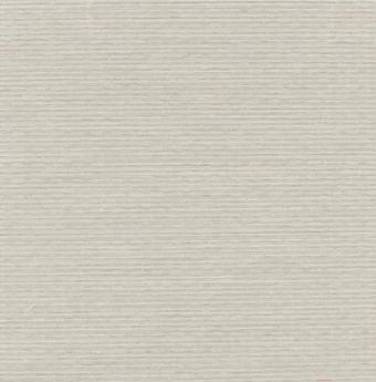 Рулонные шторы Lm Decor Камелия LM 49-01 48x160
