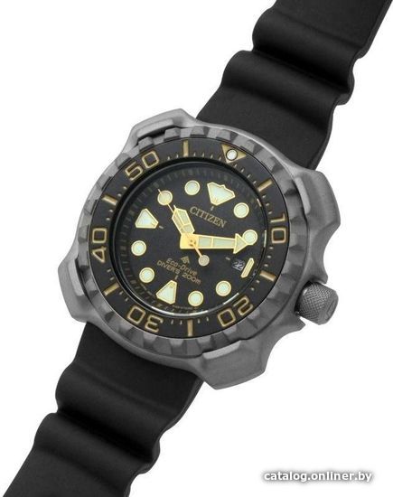 Наручные часы Citizen Promaster BN0220-16E