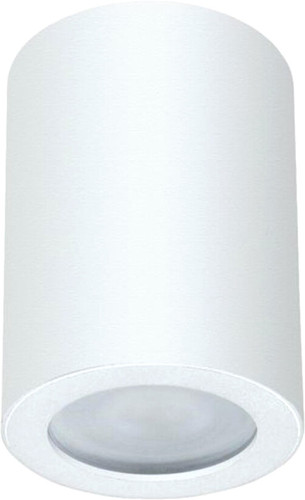 Точечный светильник Arte Lamp Tino A1468PL-1WH