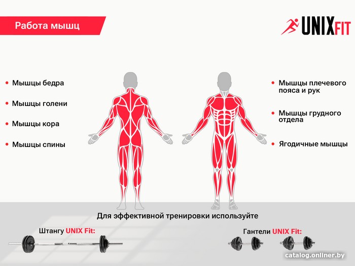 Силовая скамья Unixfit Bench 120