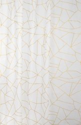Шторка-занавеска для ванны Fora Peva Gold Glass FOR-PV14