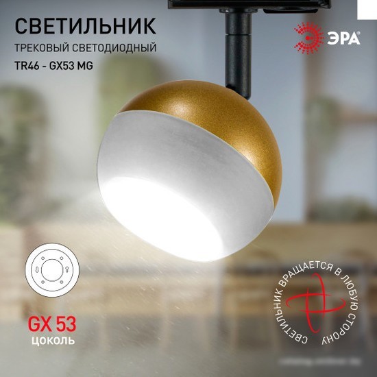Трековый светильник ЭРА TR46-GX53 MG Б0054154
