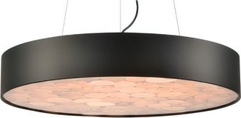Подвесная люстра Wertmark Edera WE510.01.723