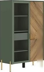 Шкаф-витрина Black Red White Siena с подсветкой REG1W1D/140 (дымчатый зеленый/дуб вотан)