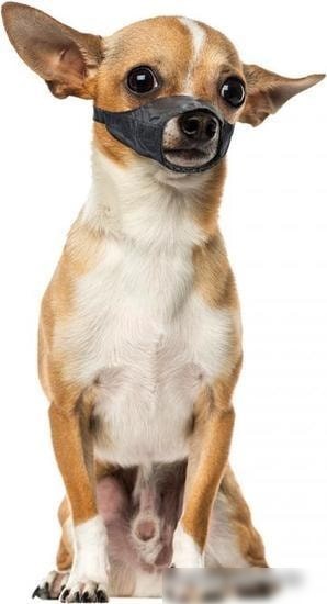 Намордник Duvo Plus Dog Muzzle 4705134/DV (черный)