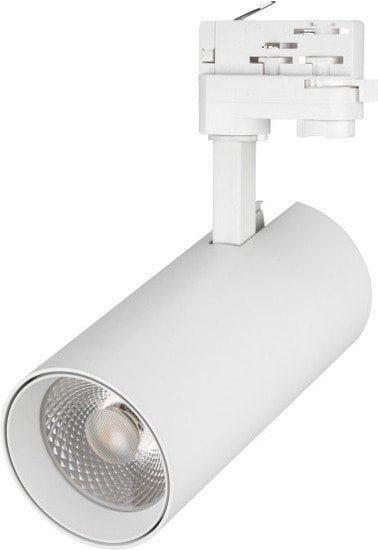 Трековый светильник Arlight LGD-GERA-4TR-R74-20W Warm3000 024595(1)