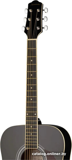 Акустическая гитара Naranda DG120BK