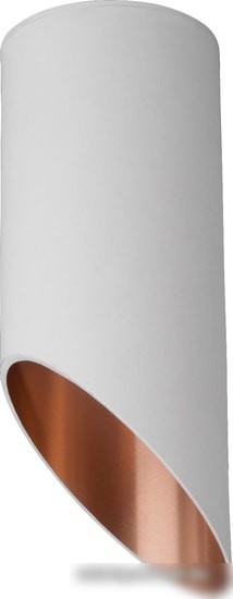 Точечный светильник Elektrostandard DLN114 GU10