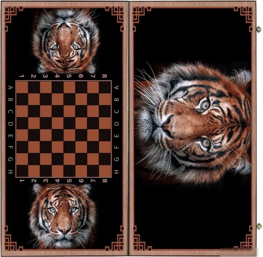 Шашки/нарды Partida Сирия Тигр средние. rastiger50