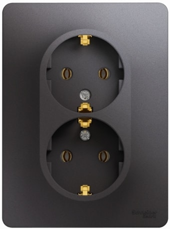 Розетка Schneider Electric GSL001324
