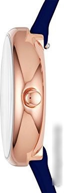 Наручные часы Skagen SKW2592