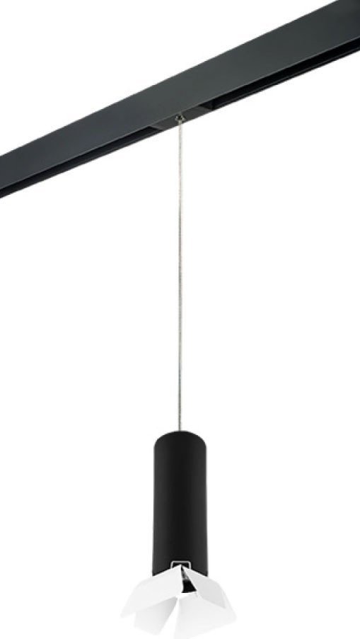 Трековый светильник Lightstar Rullo PRORP497436