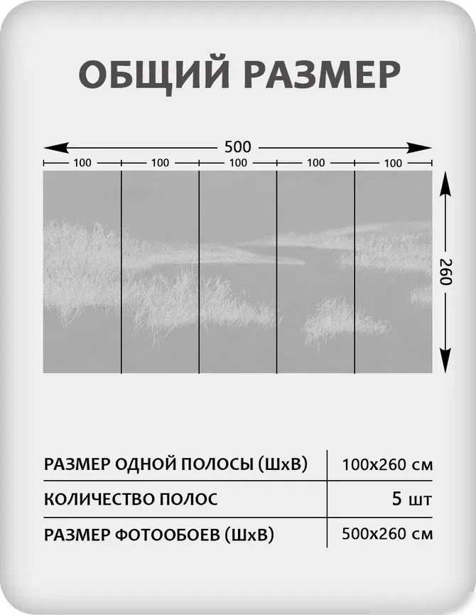 Фотообои Mio Tesoro Невесомость 61 (500x260)