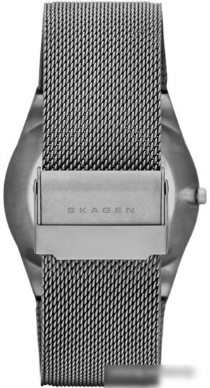Наручные часы Skagen SKW6078