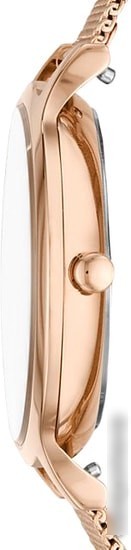 Наручные часы Skagen SKW2721