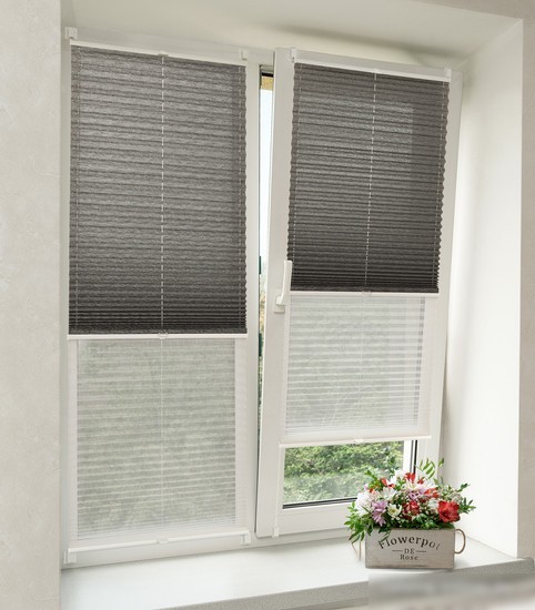 Плиссе Delfa Basic Walnut СПШ-3401/1102 Basic Transparent (34x160, антрацит/белый)