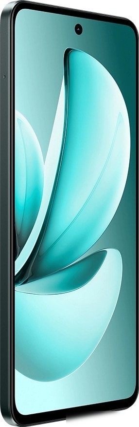 Телефон Realme C71 RMX5303 8GB/256GB международная версия (зеленый)