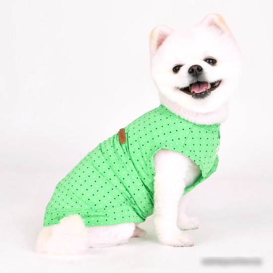 Футболка Puppia Bonnie PAVA-TS1904-GR-M (зеленый)