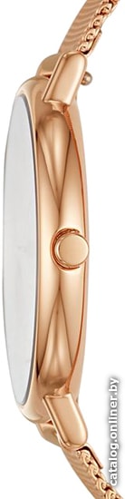 Наручные часы Skagen SKW2732