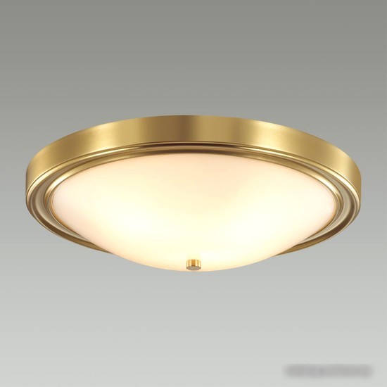 Припотолочная люстра Lumion Nina 5259/4C