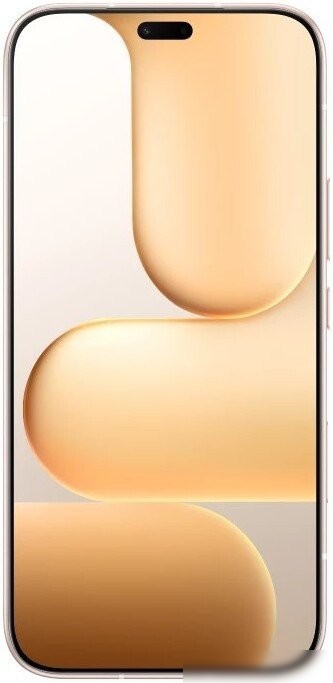 Телефон HONOR 600 Lite 8GB/256GB международная версия (пустынное золото)