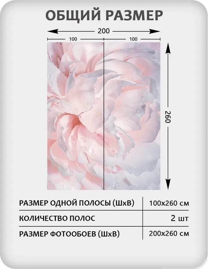 Фотообои Mio Tesoro Цветы и Растения 40 (200x260)
