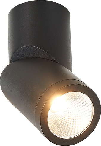 Спот ST Luce ST650 ST650.442.10