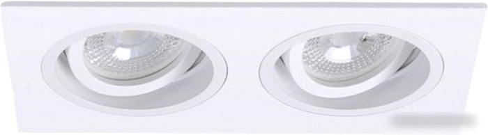 Точечный светильник Arte Lamp Tarf A2178PL-2WH