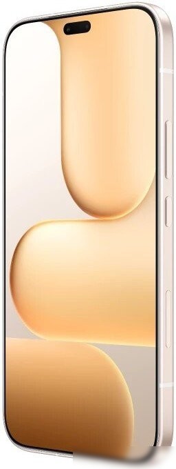 Телефон HONOR 600 Lite 8GB/256GB международная версия (пустынное золото)