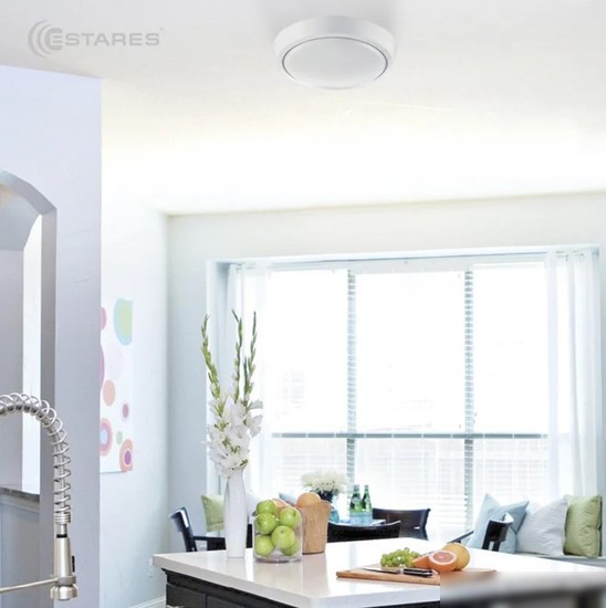 Припотолочная люстра Estares DLR 12W R-150-CW-WHITE/WHITE-220-IP44