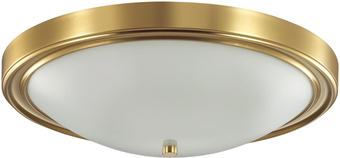 Припотолочная люстра Lumion Nina 5259/4C