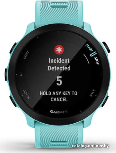 Умные часы Garmin Forerunner 55 (бирюзовый)