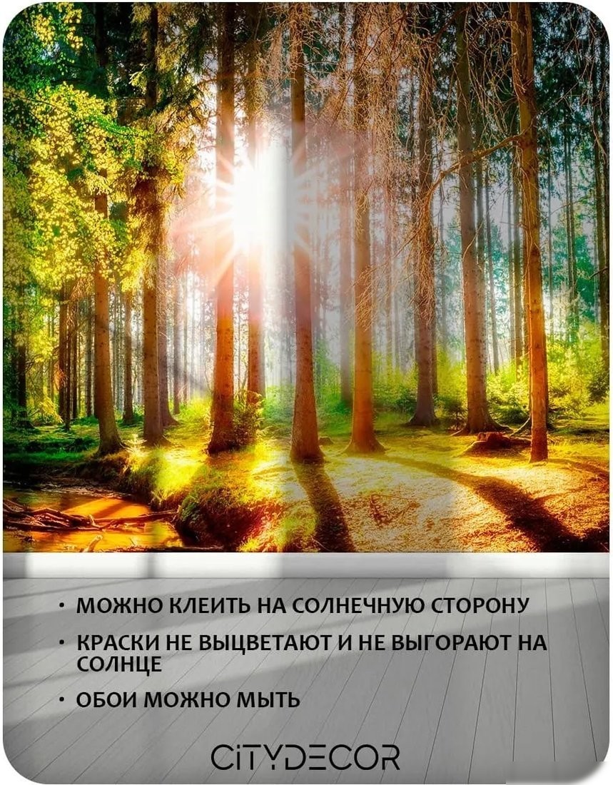 Флизелиновые обои Citydecor Природа 149 (300x150см)