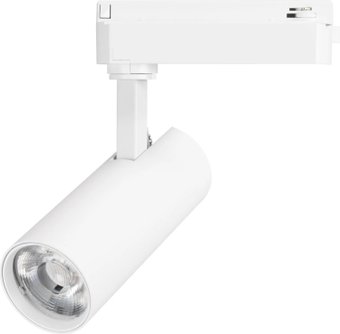 Трековый светильник Arlight LGD-GERA-2TR-R60-15W Day4000 WH 36deg 055045