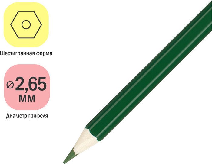 Набор цветных карандашей ArtSpace Милые зверушки CP_41022 (24 цв)